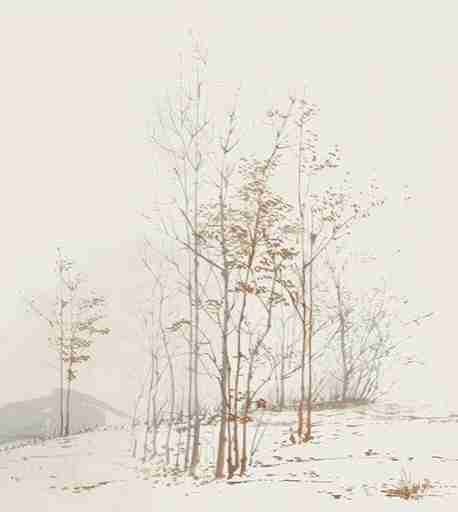 Évasion en Forêt : Une Balade Dans les Bois Gris et Minimaliste - Illulart: Papier peint panoramique