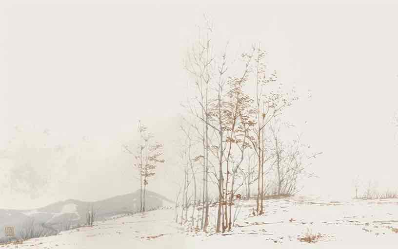 Évasion en Forêt : Une Balade Dans les Bois Gris et Minimaliste - Illulart: Papier peint panoramique