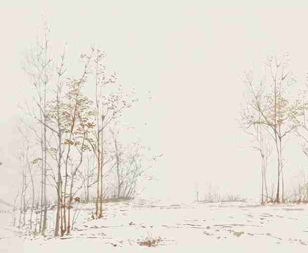 Évasion en Forêt : Une Balade Dans les Bois Gris et Minimaliste - Illulart: Papier peint panoramique