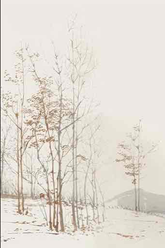 Évasion en Forêt : Une Balade Dans les Bois Gris et Minimaliste - Illulart: Papier peint panoramique