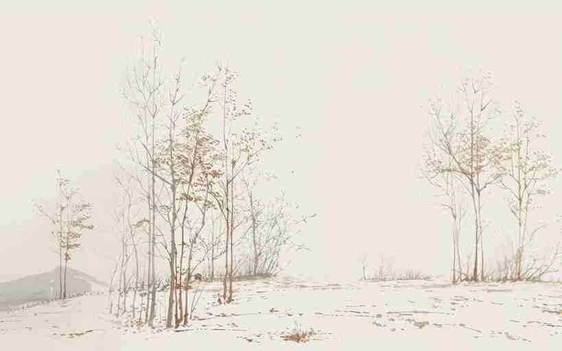 Évasion en Forêt : Une Balade Dans les Bois Gris et Minimaliste - Illulart: Papier peint panoramique