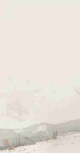 Évasion en Forêt : Une Balade Dans les Bois Gris et Minimaliste - Illulart: Papier peint panoramique