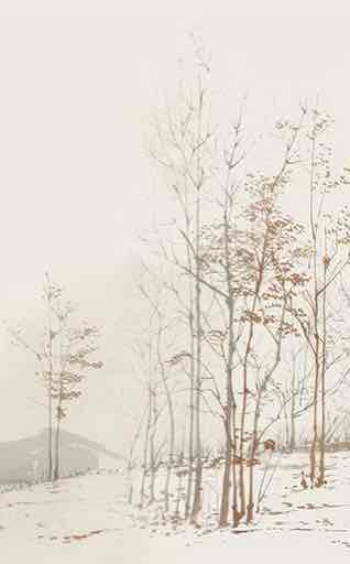 Évasion en Forêt : Une Balade Dans les Bois Gris et Minimaliste - Illulart: Papier peint panoramique