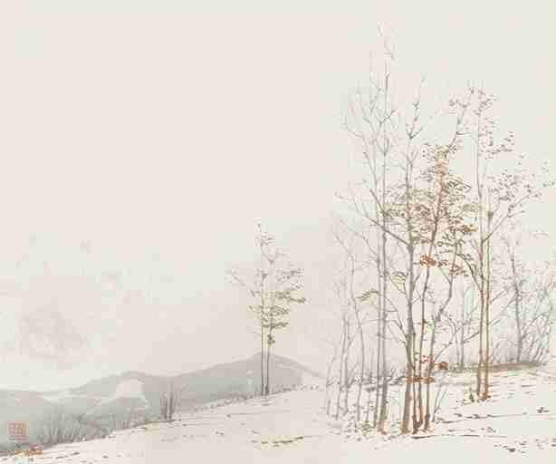 Évasion en Forêt : Une Balade Dans les Bois Gris et Minimaliste - Illulart: Papier peint panoramique