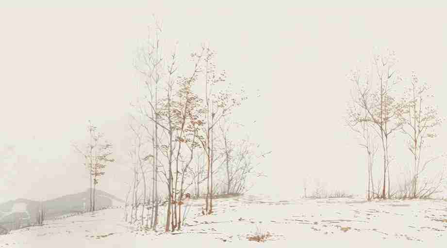 Évasion en Forêt : Une Balade Dans les Bois Gris et Minimaliste - Illulart: Papier peint panoramique