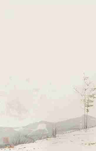 Évasion en Forêt : Une Balade Dans les Bois Gris et Minimaliste - Illulart: Papier peint panoramique