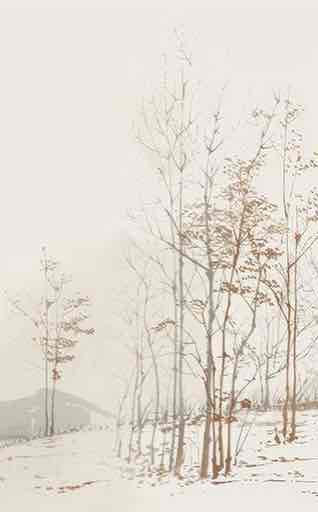 Évasion en Forêt : Une Balade Dans les Bois Gris et Minimaliste - Illulart: Papier peint panoramique