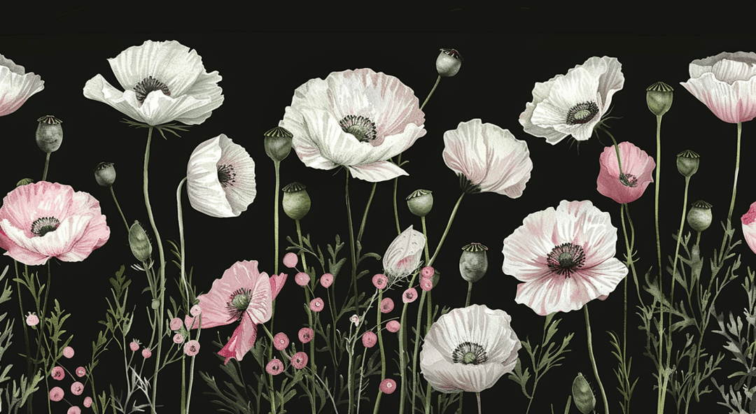 Éveil Floral : Coquelicots Blancs et Roses en Contraste - Illulart: Papier peint panoramique