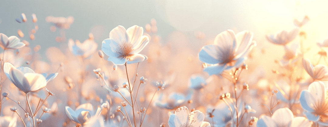 Floraison lumineuse - Illulart: Papier peint panoramique