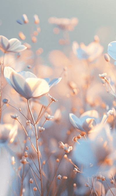 Floraison lumineuse - Illulart: Papier peint panoramique