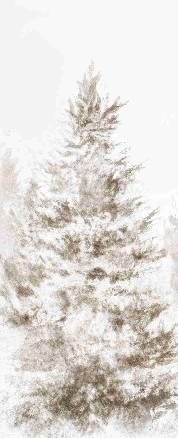 Forêt de douceur – Papier peint panoramique nature hivernale - Illulart: Papier peint panoramique