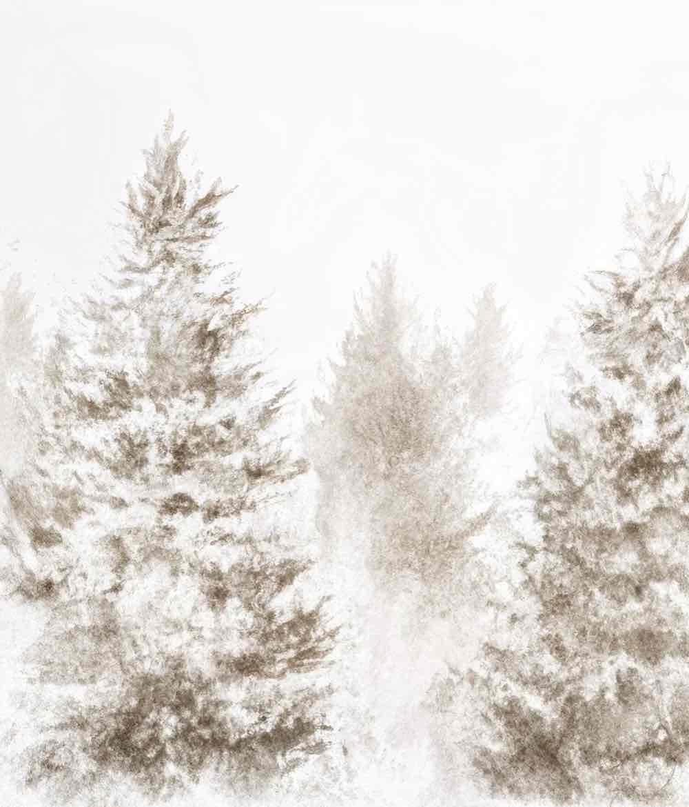 Forêt de douceur – Papier peint panoramique nature hivernale - Illulart: Papier peint panoramique