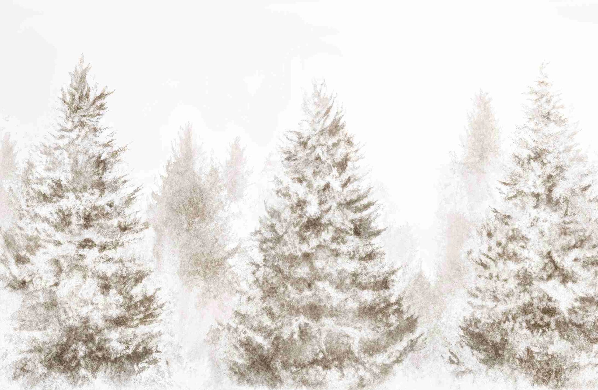 Forêt de douceur – Papier peint panoramique nature hivernale