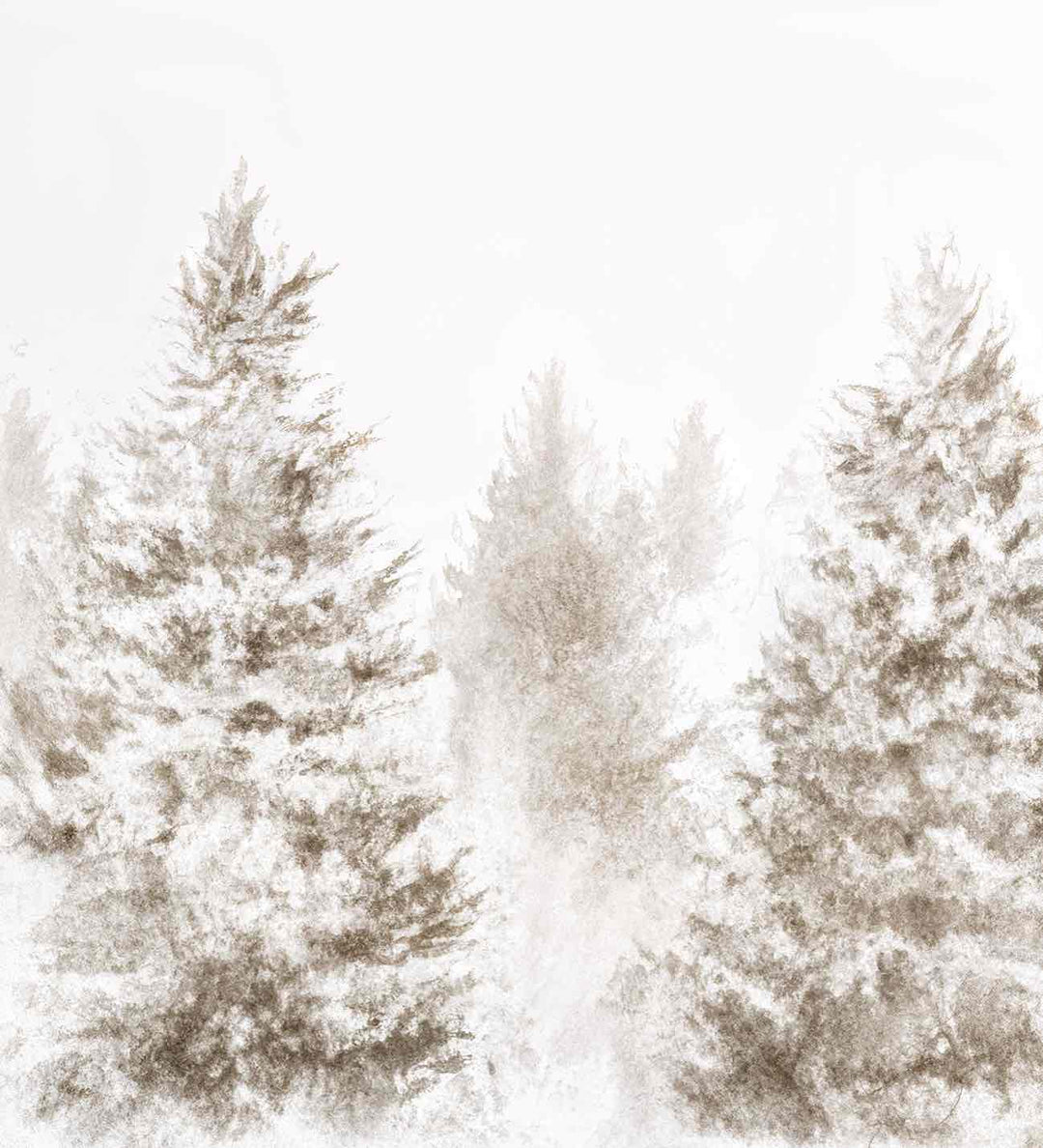Forêt de douceur – Papier peint panoramique nature hivernale - Illulart: Papier peint panoramique