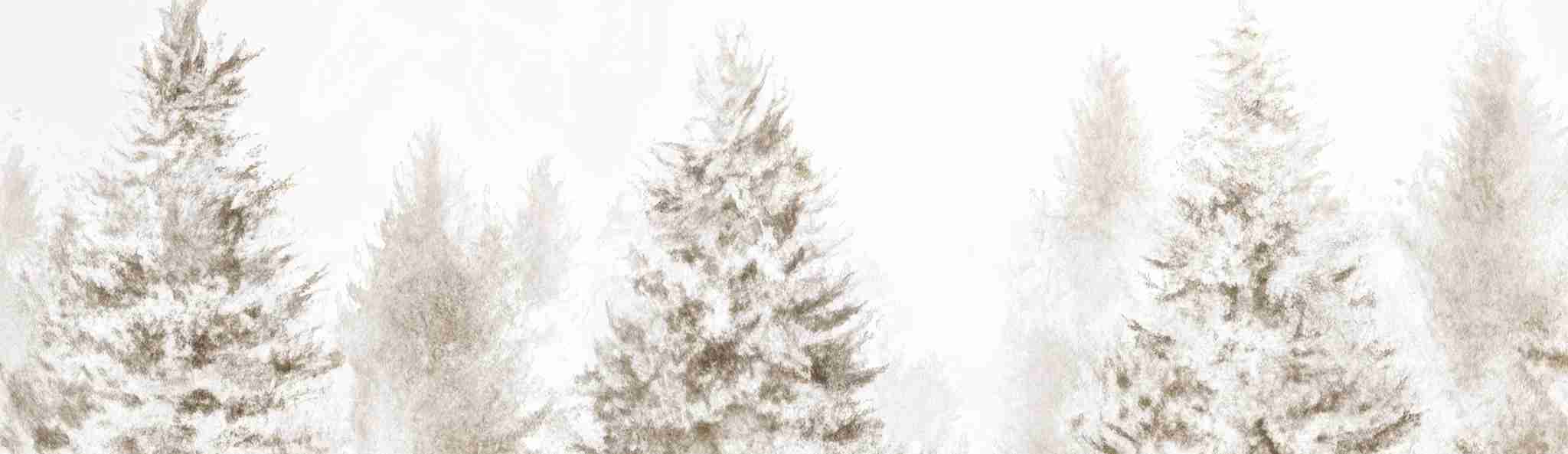 Forêt de douceur – Papier peint panoramique nature hivernale - Illulart: Papier peint panoramique