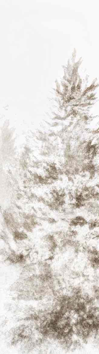 Forêt de douceur – Papier peint panoramique nature hivernale - Illulart: Papier peint panoramique