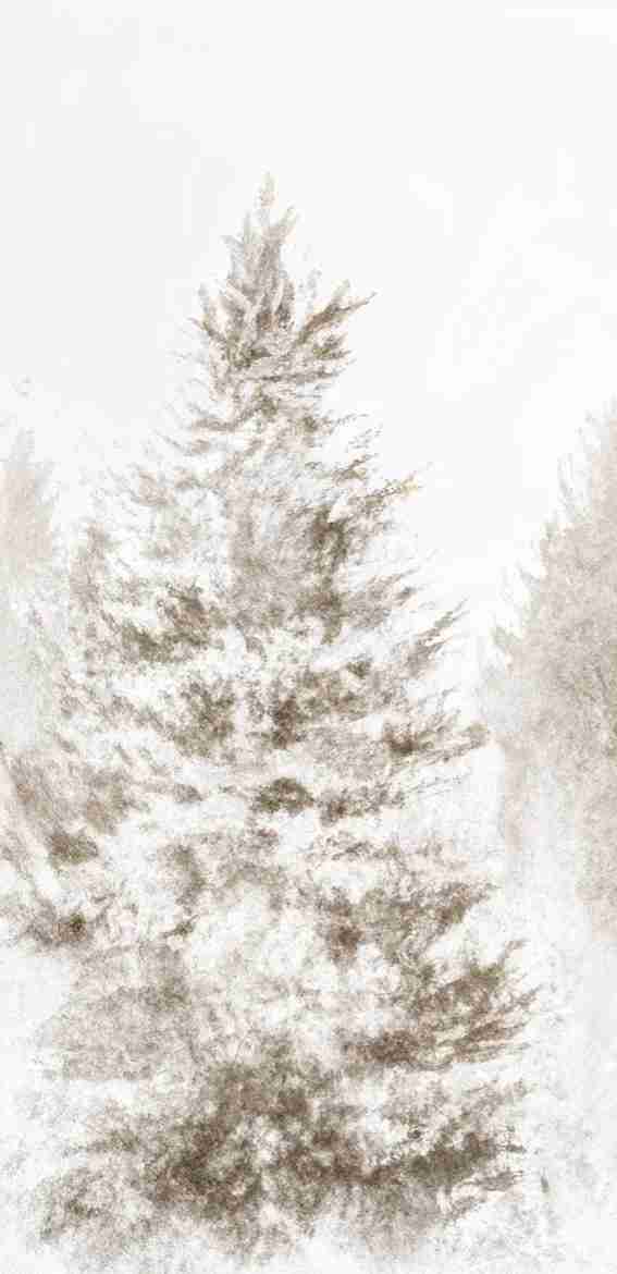 Forêt de douceur – Papier peint panoramique nature hivernale - Illulart: Papier peint panoramique