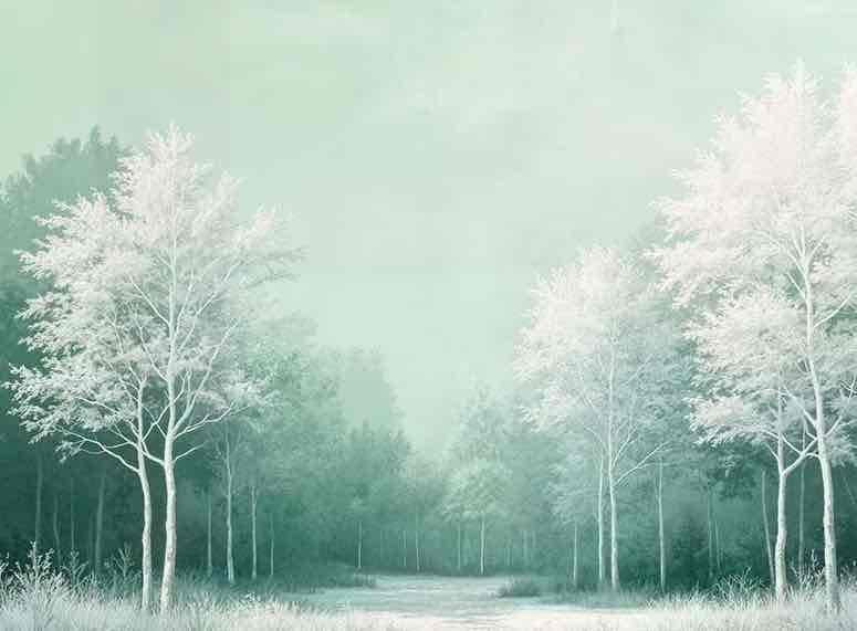 Forêt d’émeraude – Papier peint panoramique en mur naturel - Illulart: Papier peint panoramique