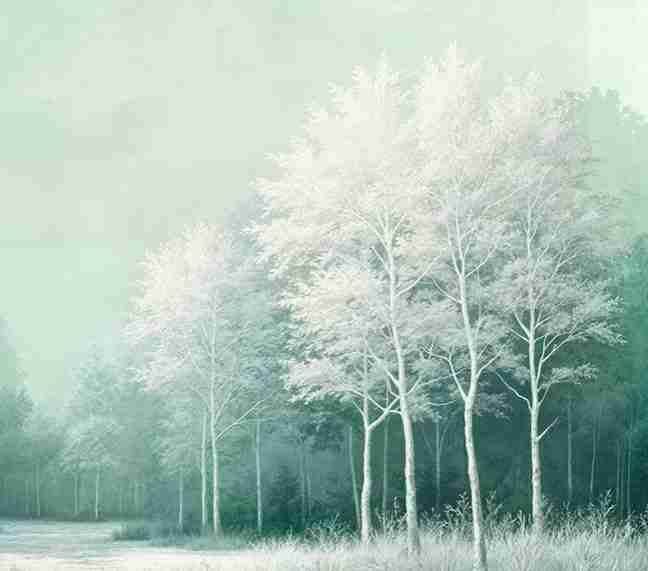 Forêt d’émeraude – Papier peint panoramique en mur naturel - Illulart: Papier peint panoramique