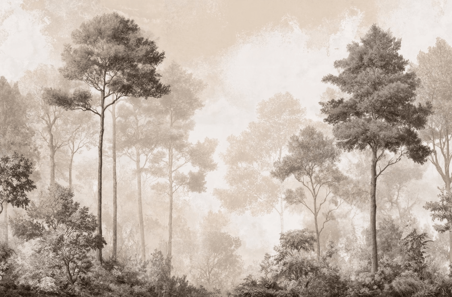 Forêt des Silences
