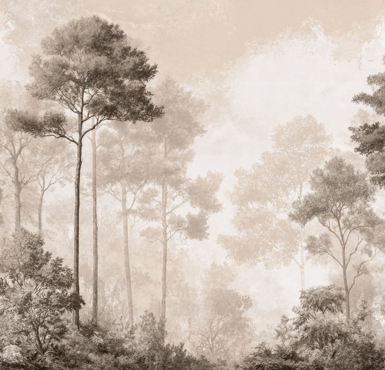 Forêt des Silences