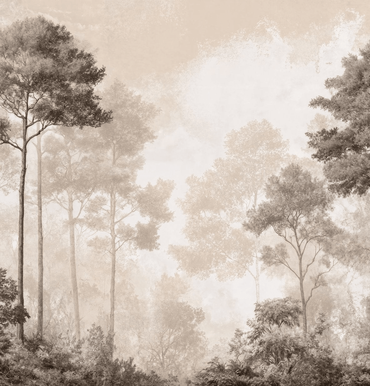 Forêt des Silences