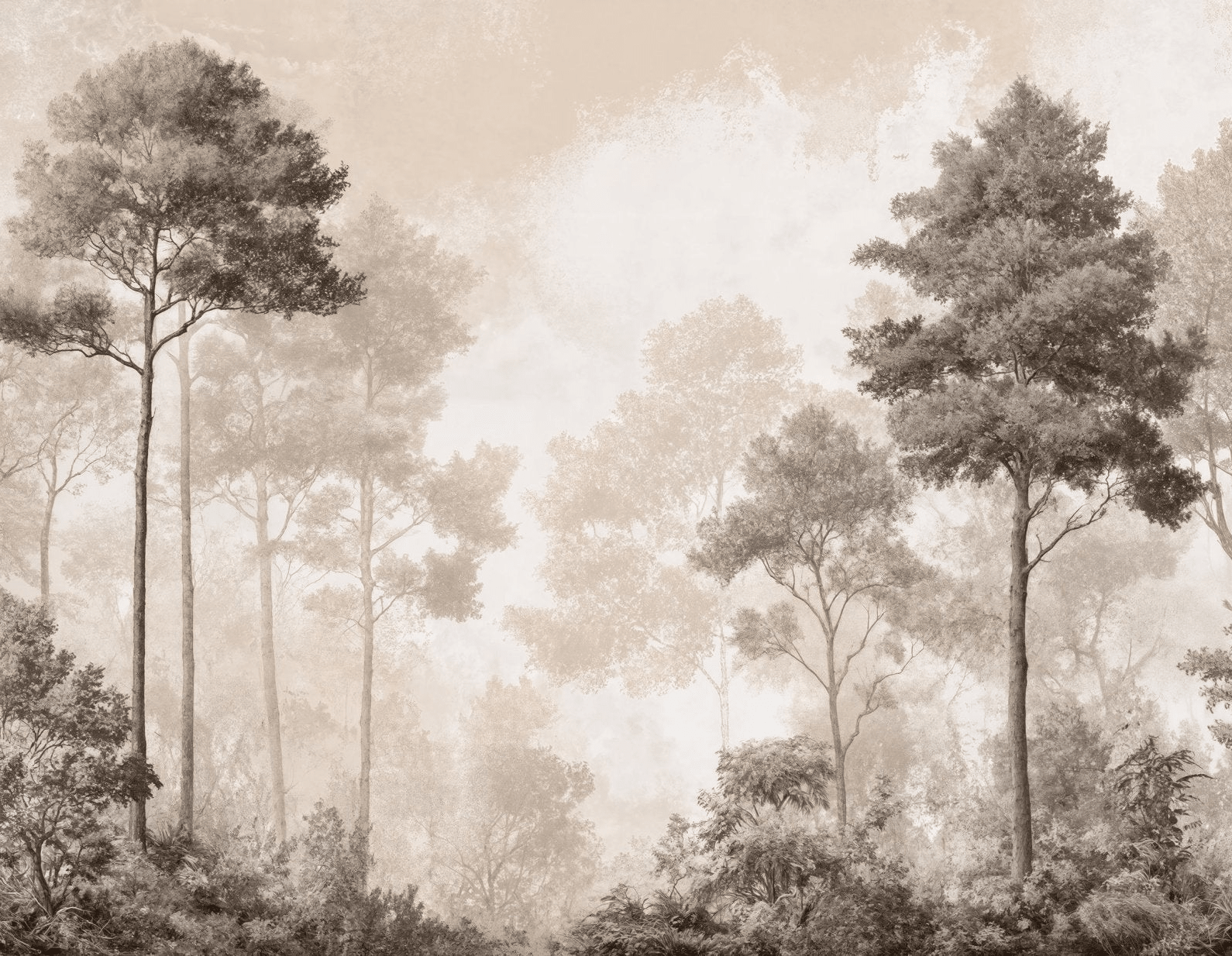 Forêt des Silences