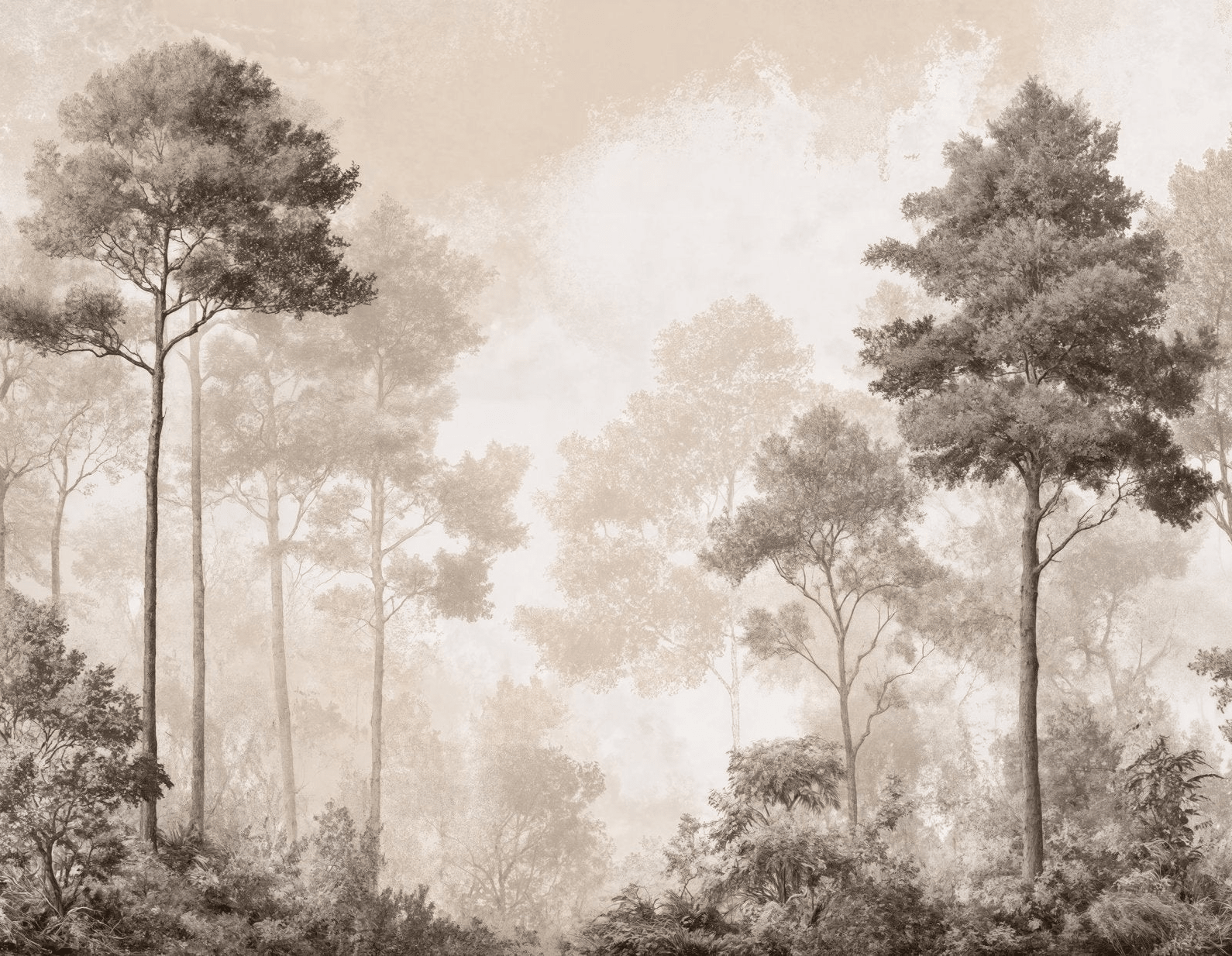 Forêt des Silences