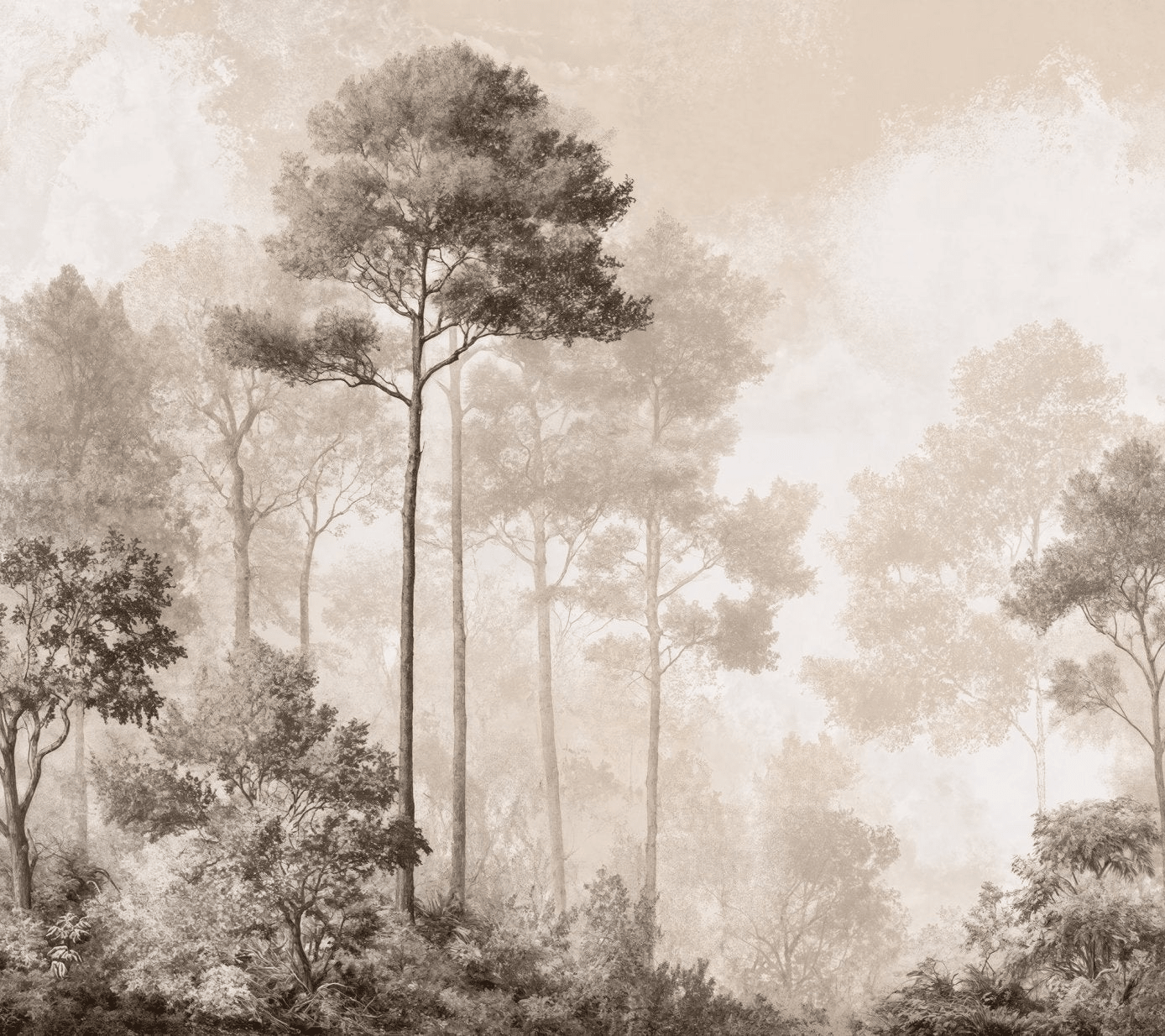 Forêt des Silences