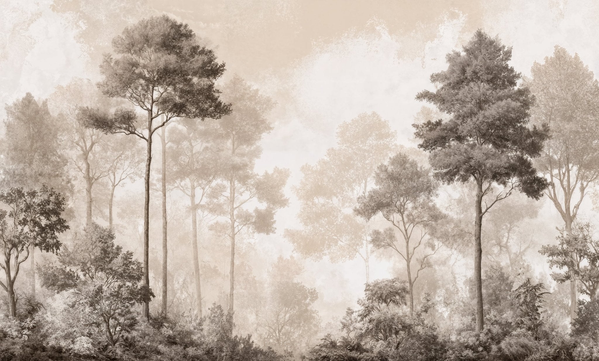 Forêt des Silences