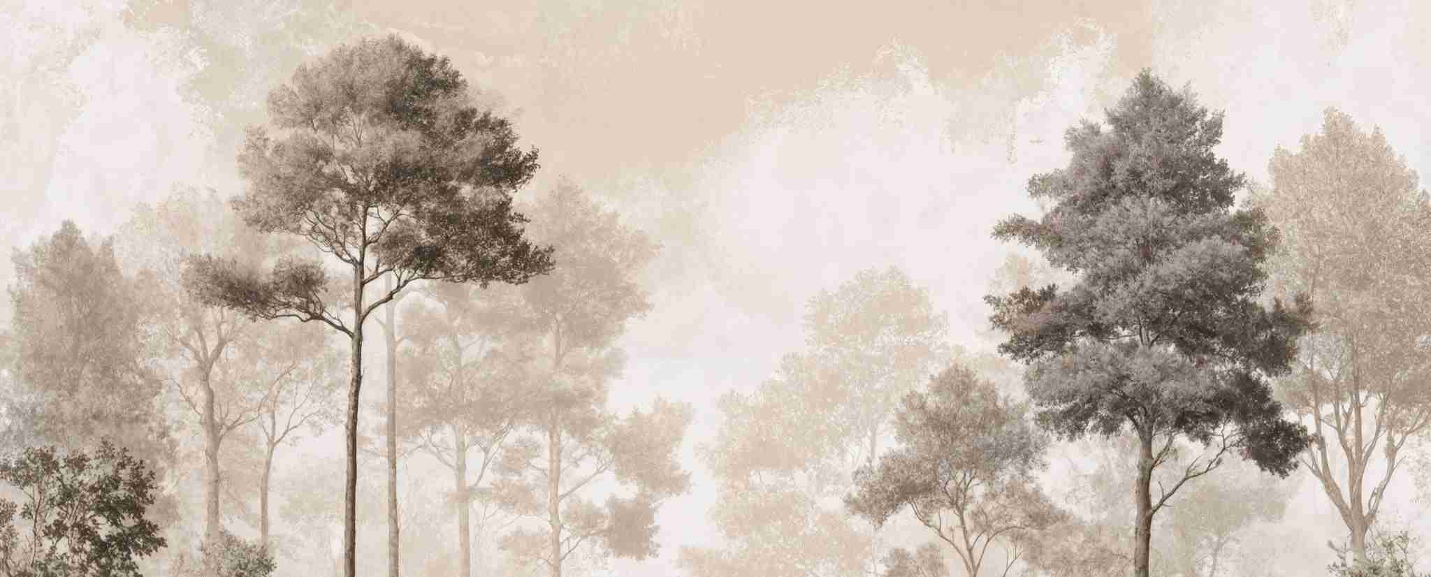 Forêt des Silences – Papier Peint Arbres Enveloppés de Brume Douce en Sépia
