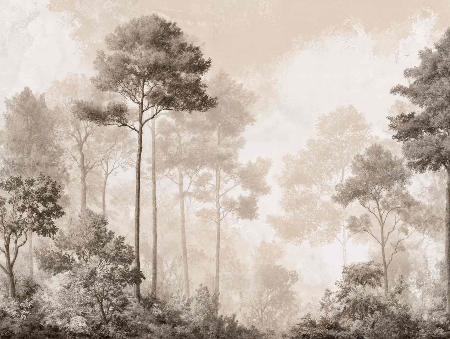 Forêt des Silences – Papier Peint Arbres Enveloppés de Brume Douce en Sépia - Illulart: Papier peint panoramique