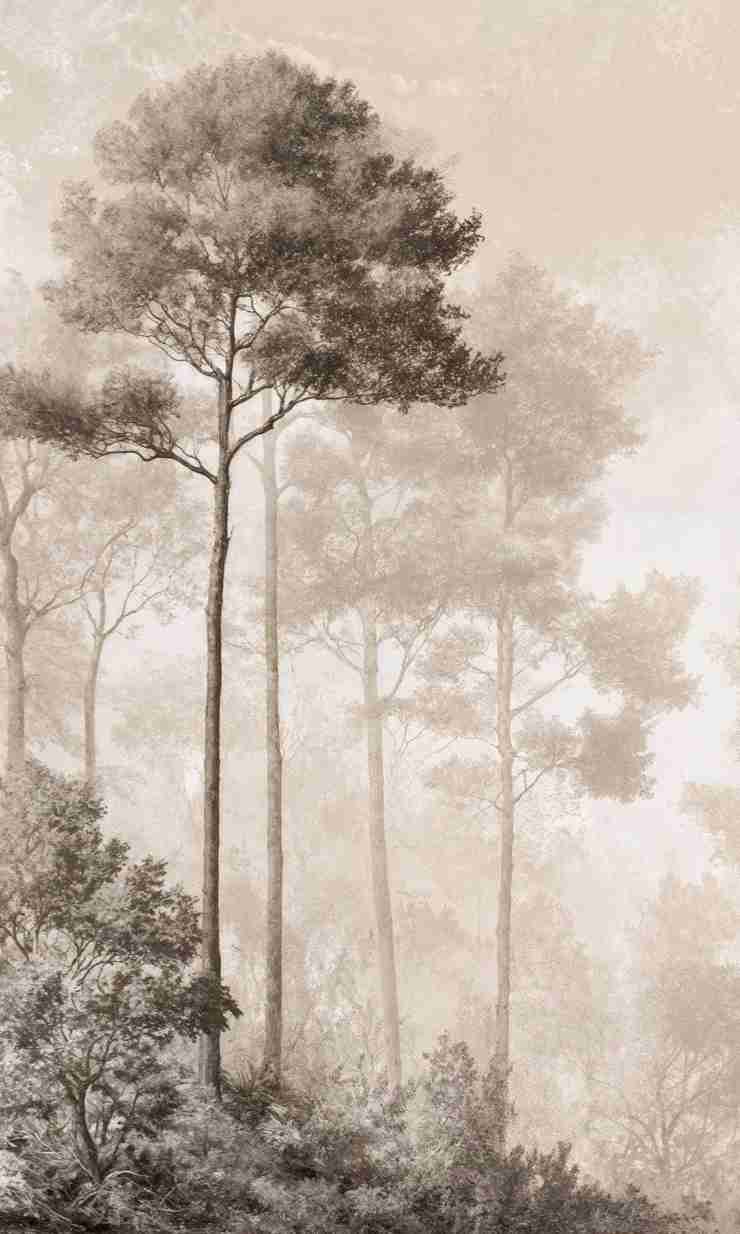 Forêt des Silences – Papier Peint Arbres Enveloppés de Brume Douce en Sépia - Illulart: Papier peint panoramique