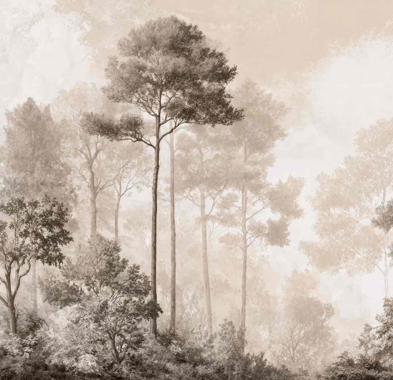 Forêt des Silences – Papier Peint Arbres Enveloppés de Brume Douce en Sépia - Illulart: Papier peint panoramique