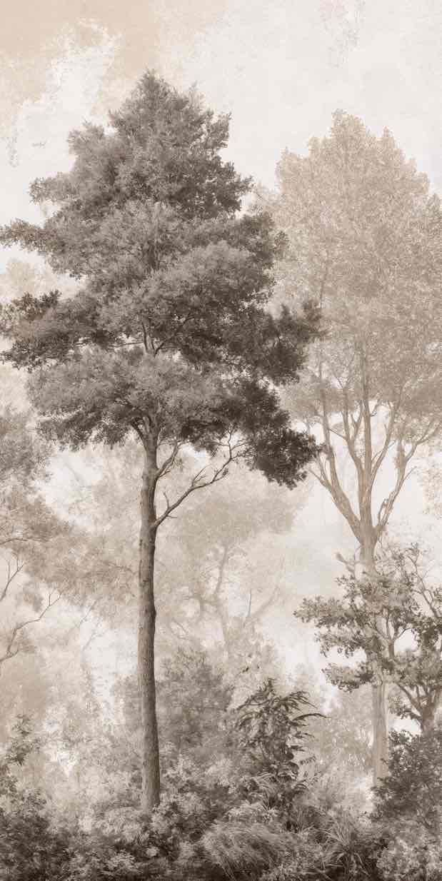 Forêt des Silences – Papier Peint Arbres Enveloppés de Brume Douce en Sépia - Illulart: Papier peint panoramique