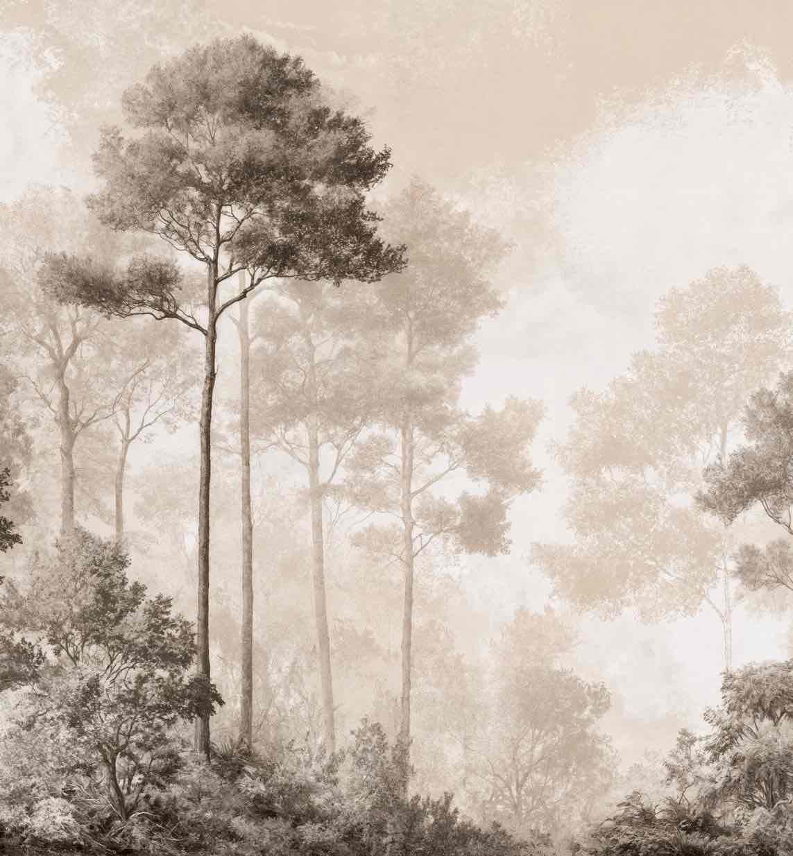 Forêt des Silences – Papier Peint Arbres Enveloppés de Brume Douce en Sépia - Illulart: Papier peint panoramique