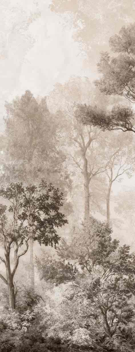 Forêt des Silences – Papier Peint Arbres Enveloppés de Brume Douce en Sépia - Illulart: Papier peint panoramique