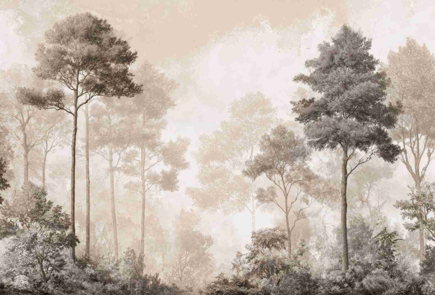 Forêt des Silences – Papier Peint Arbres Enveloppés de Brume Douce en Sépia - Illulart: Papier peint panoramique