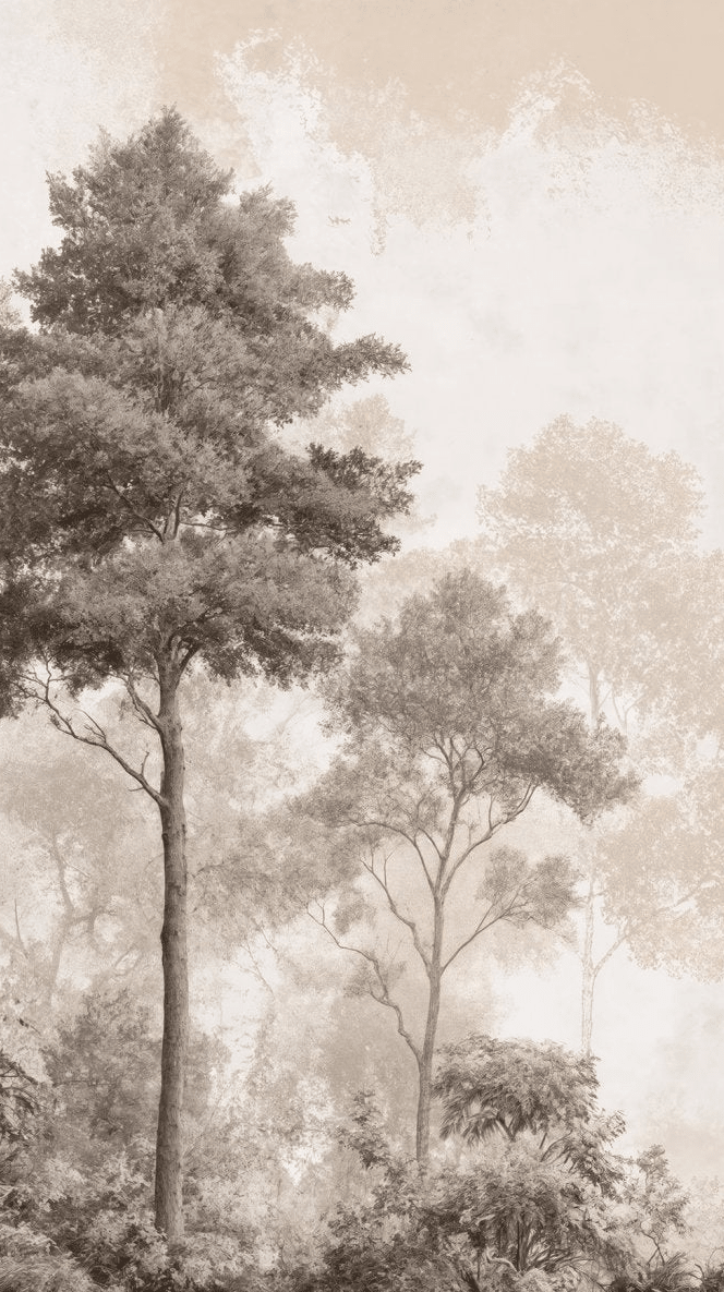 Forêt des Silences – Papier Peint Arbres Enveloppés de Brume Douce en Sépia - Illulart: Papier peint panoramique