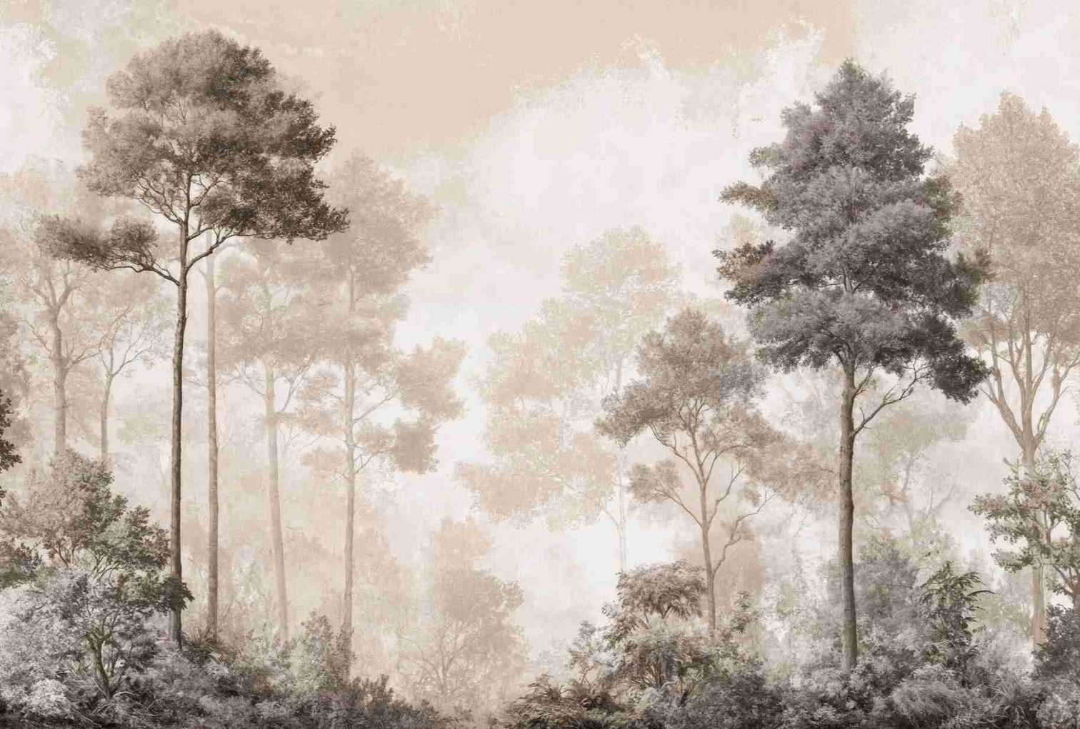 Forêt des Silences – Papier Peint Arbres Enveloppés de Brume Douce en Sépia - Illulart: Papier peint panoramique