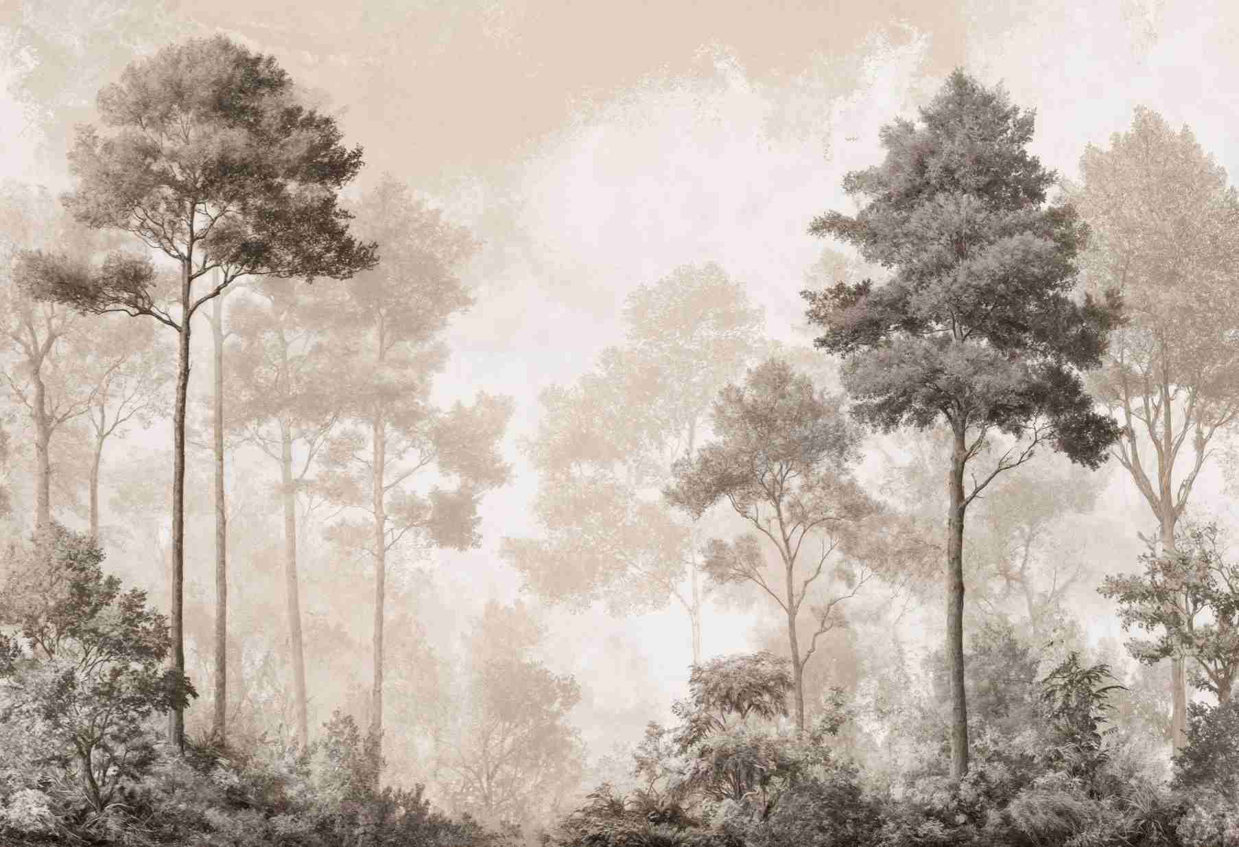 Forêt des Silences – Papier Peint Arbres Enveloppés de Brume Douce en Sépia