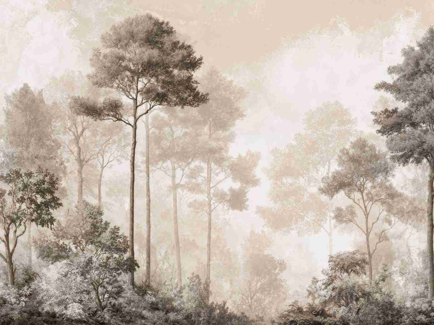 Forêt des Silences – Papier Peint Arbres Enveloppés de Brume Douce en Sépia - Illulart: Papier peint panoramique