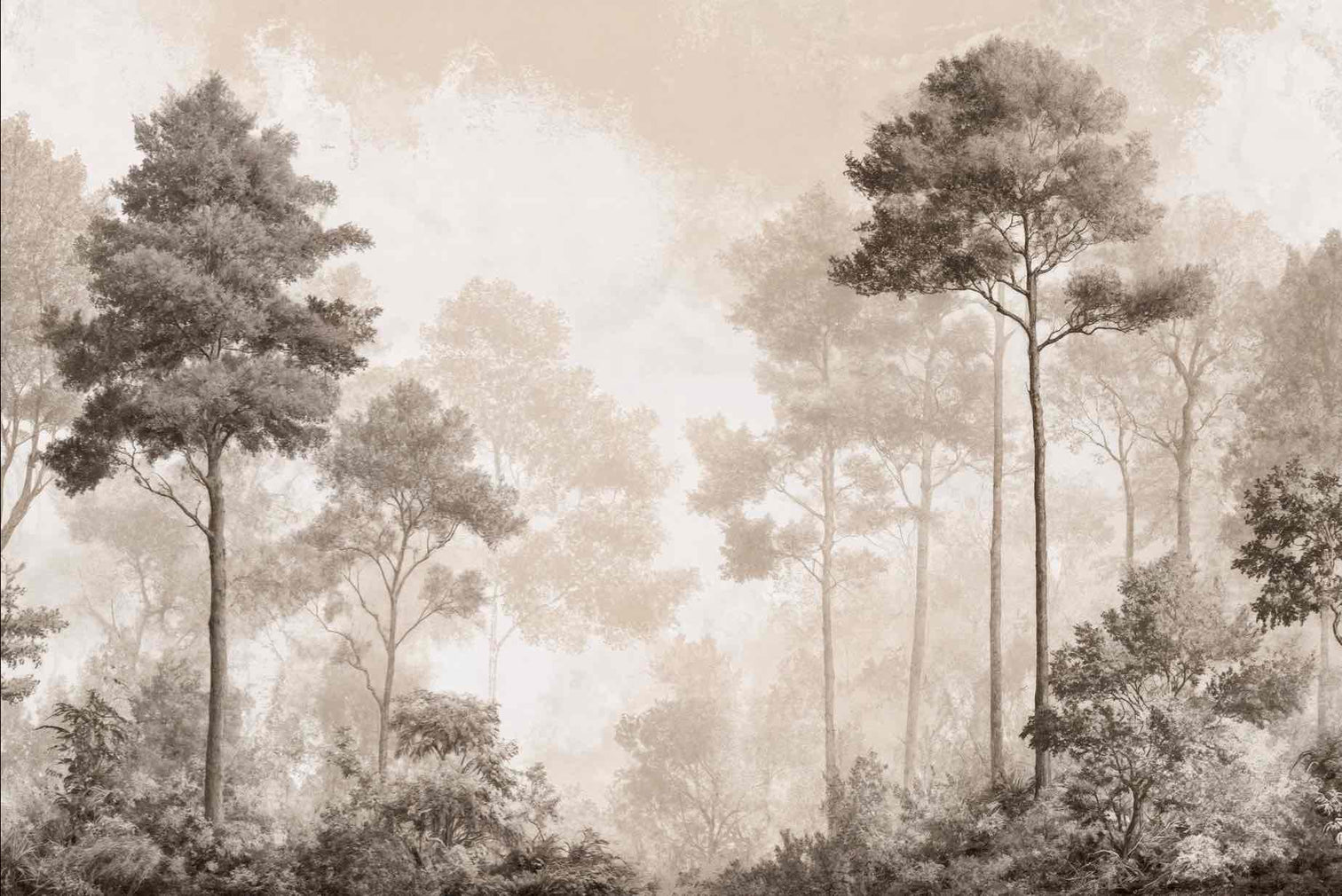 Forêt des Silences – Papier Peint Arbres Enveloppés de Brume Douce en Sépia - Illulart: Papier peint panoramique