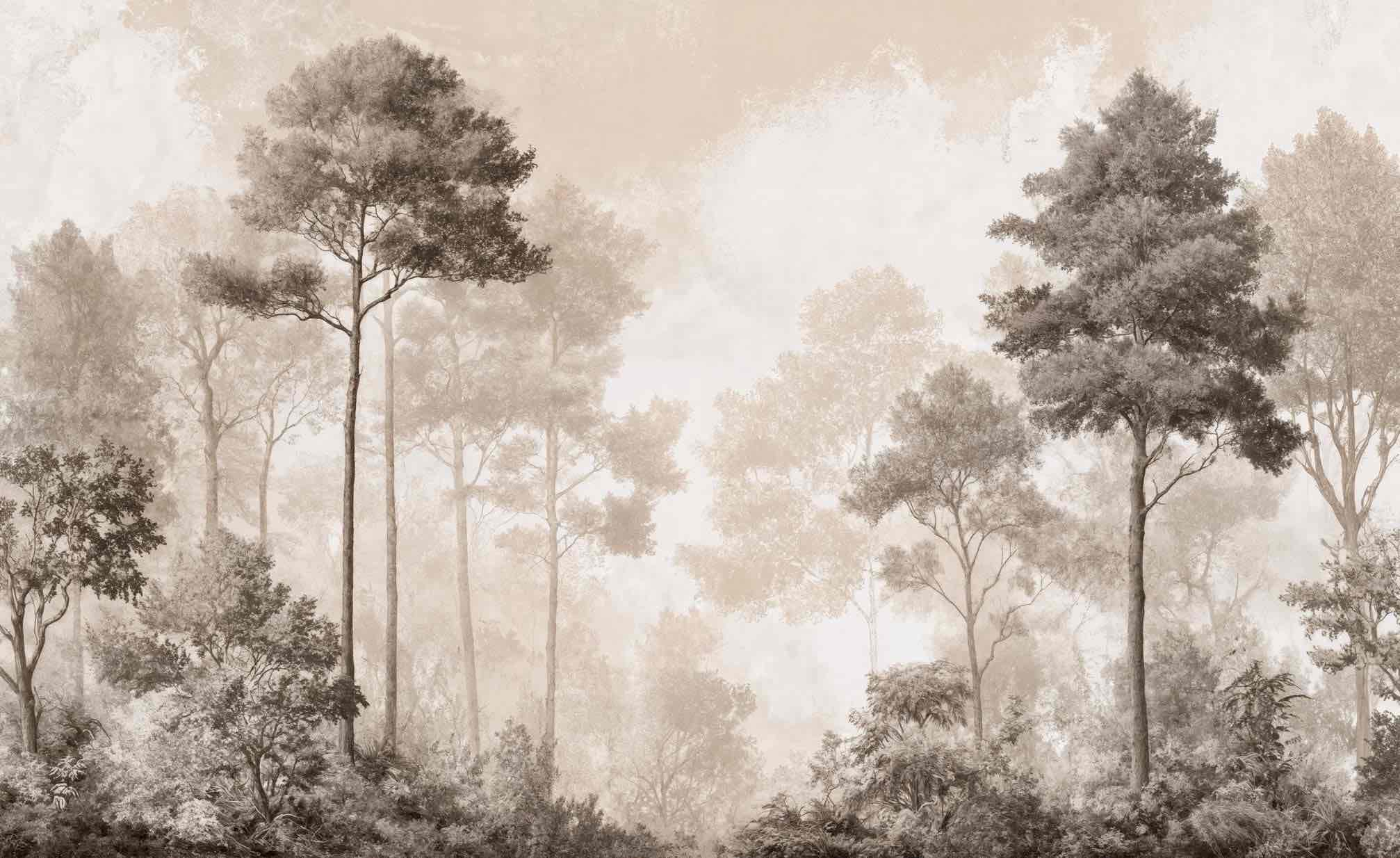 Forêt des Silences – Papier Peint Arbres Enveloppés de Brume Douce en Sépia