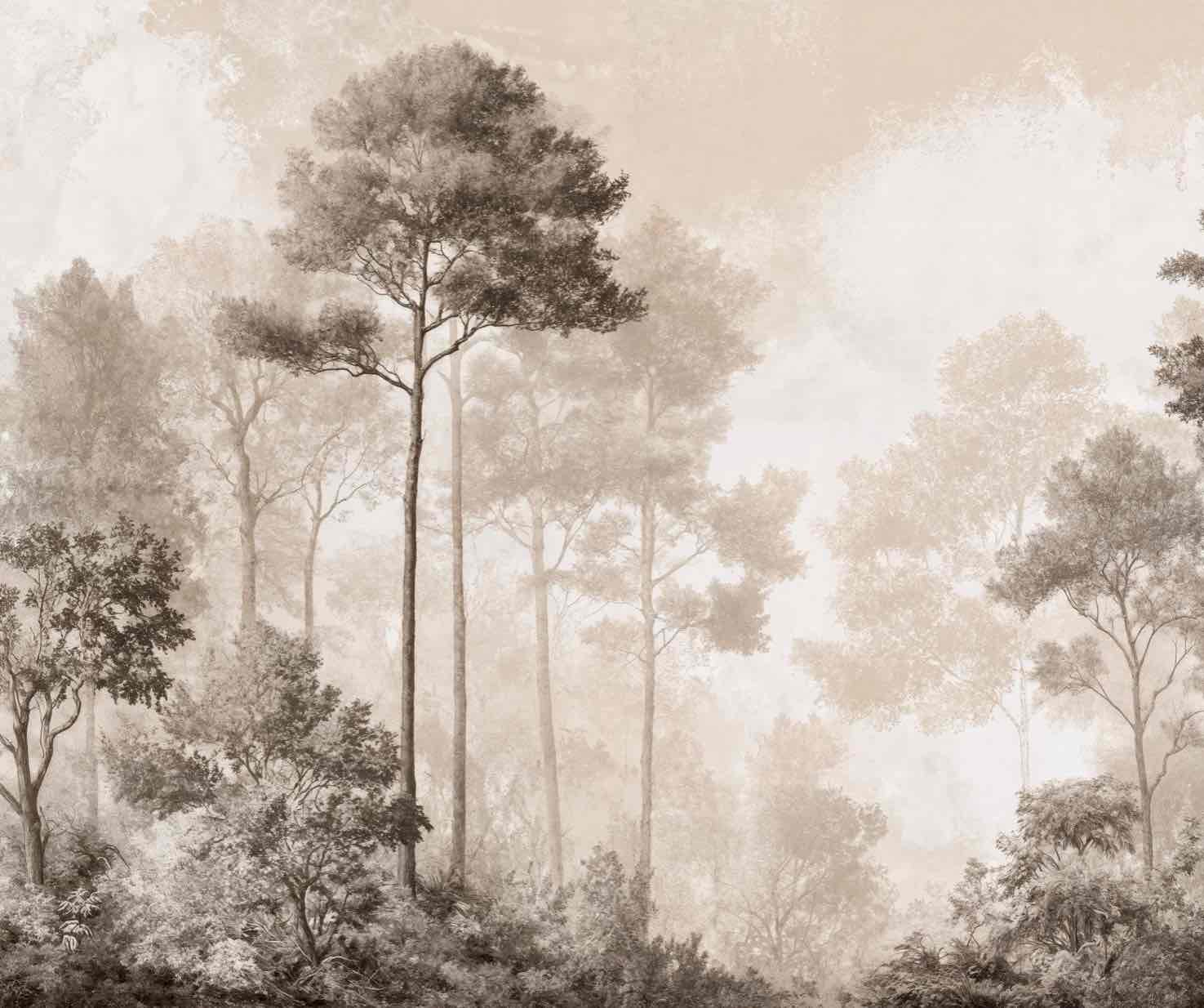 Forêt des Silences – Papier Peint Arbres Enveloppés de Brume Douce en Sépia
