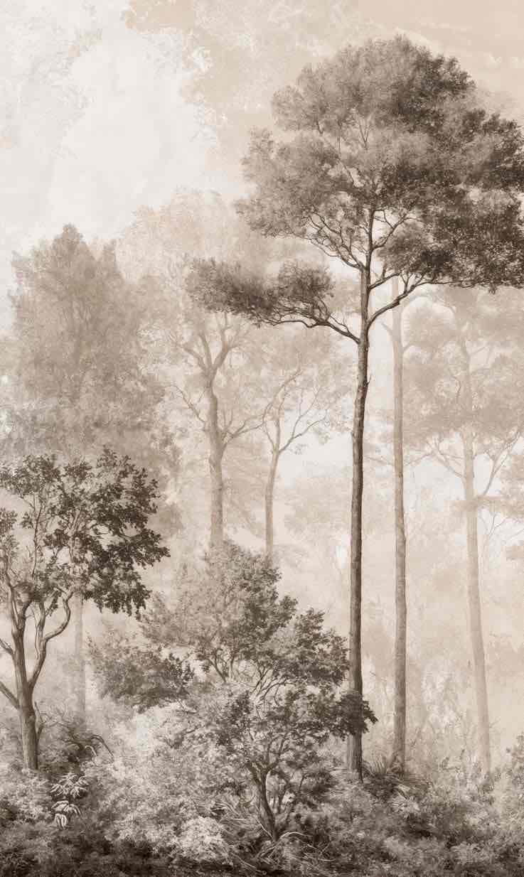 Forêt des Silences – Papier Peint Arbres Enveloppés de Brume Douce en Sépia - Illulart: Papier peint panoramique