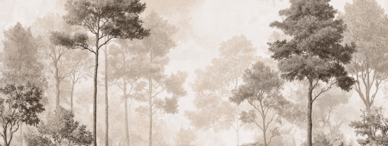 Forêt des Silences – Papier Peint Arbres Enveloppés de Brume Douce en Sépia - Illulart: Papier peint panoramique