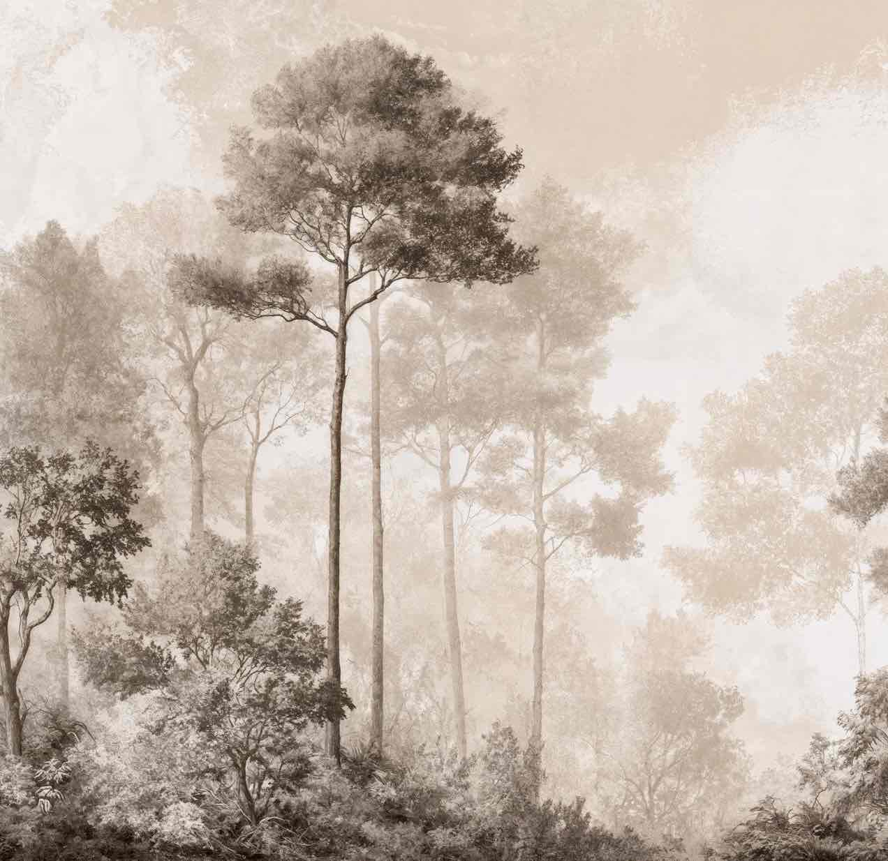Forêt des Silences – Papier Peint Arbres Enveloppés de Brume Douce en Sépia - Illulart: Papier peint panoramique