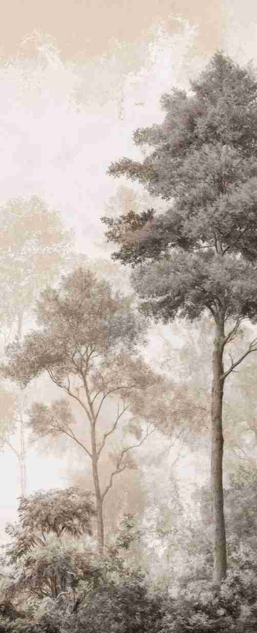 Forêt des Silences – Papier Peint Arbres Enveloppés de Brume Douce en Sépia - Illulart: Papier peint panoramique