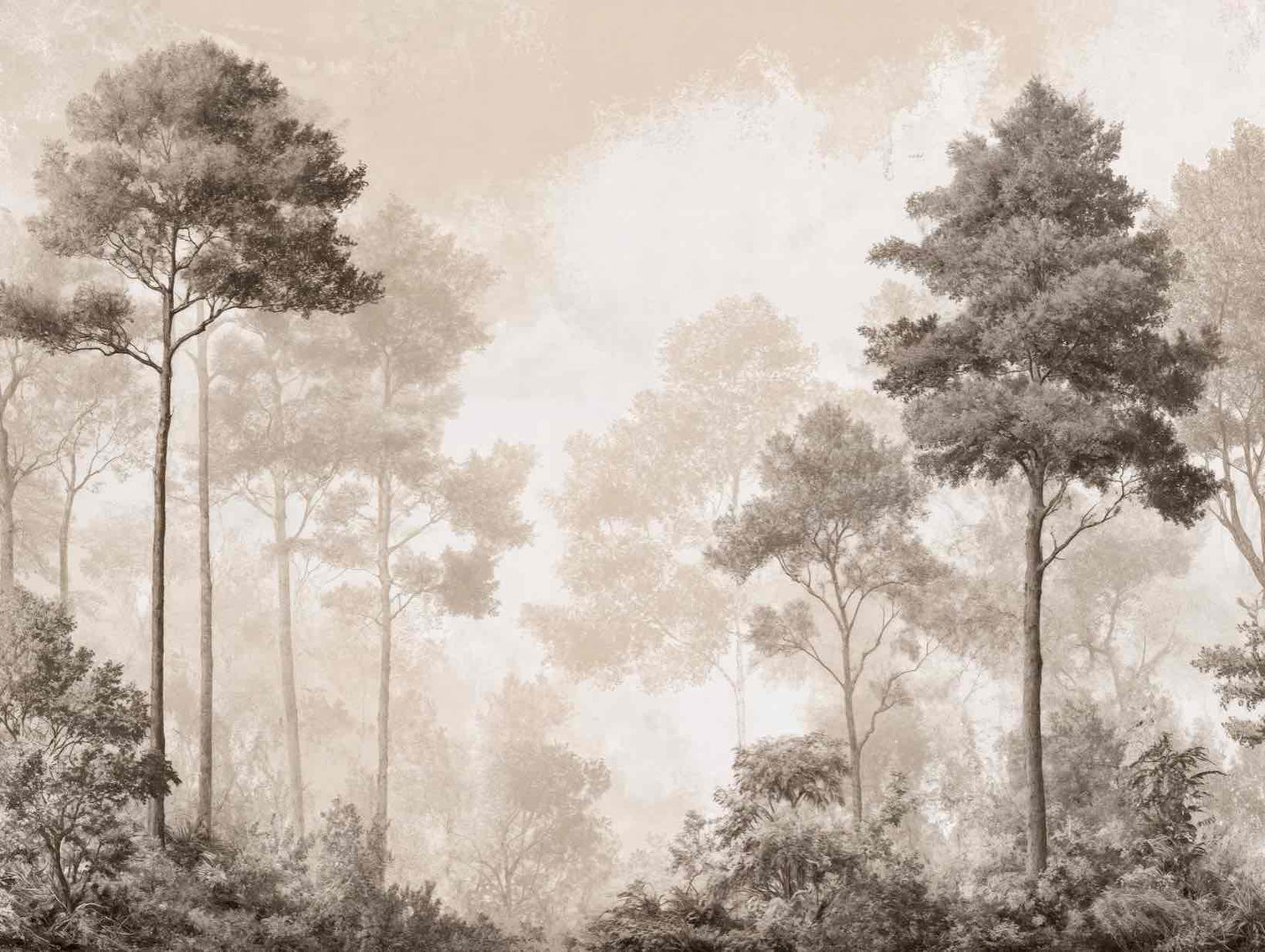 Forêt des Silences – Papier Peint Arbres Enveloppés de Brume Douce en Sépia - Illulart: Papier peint panoramique